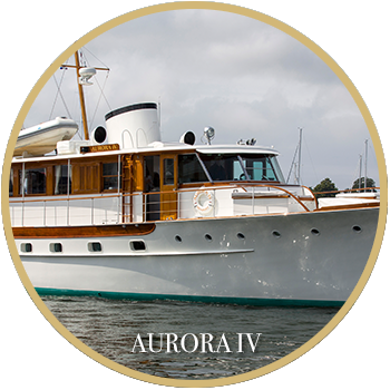 Aurora IV